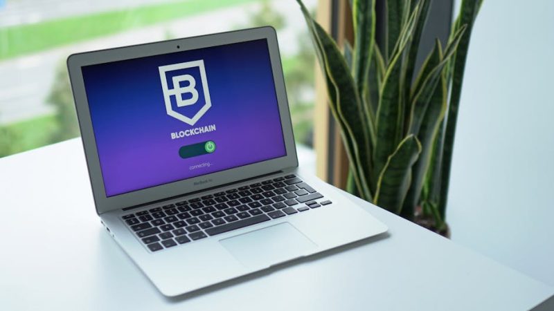 Sécuriser vos crypto-monnaies en Côte dIvoire Les Meilleures Pratiques