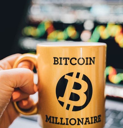 Gestion des actifs crypto en Côte dIvoire expérience et outils utilisés