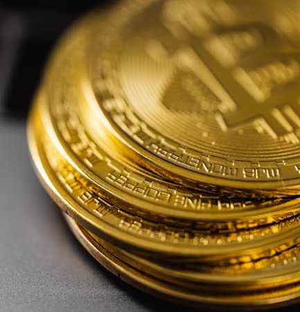 Plateforme de trading de crypto-monnaie en Côte d&rsquo;Ivoire pour les investisseurs