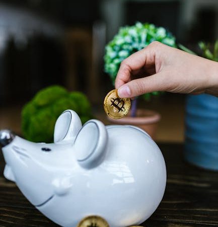 Achat de Bitcoin de manière anonyme en Côte d&rsquo;Ivoire