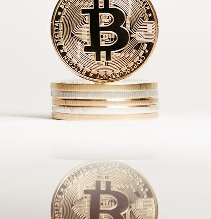 Développement du Secteur Minier en Côte dIvoire