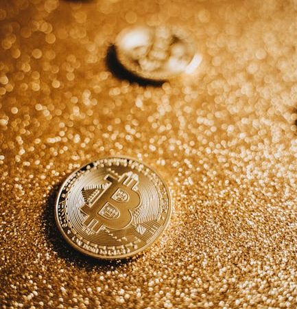 Guide pour les Débutants Outils de Gestion d Actifs Crypto en Côte d Ivoire