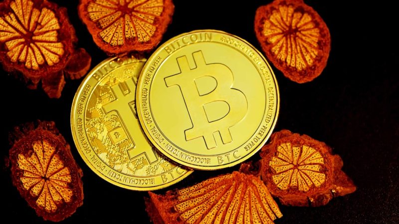 Echange de crypto-monnaies en Afrique un marché en plein essor en Côte dIvoire