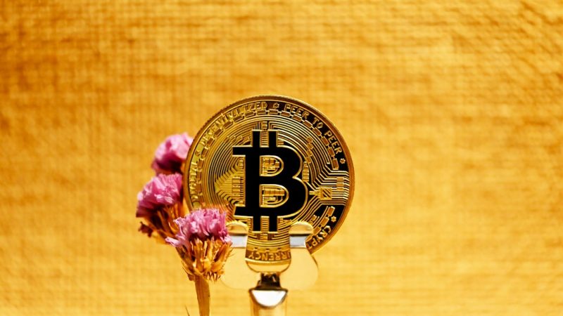 Revenu Alternatif Crypto en Côte d&rsquo;Ivoire Un Guide Complet avec Bonus